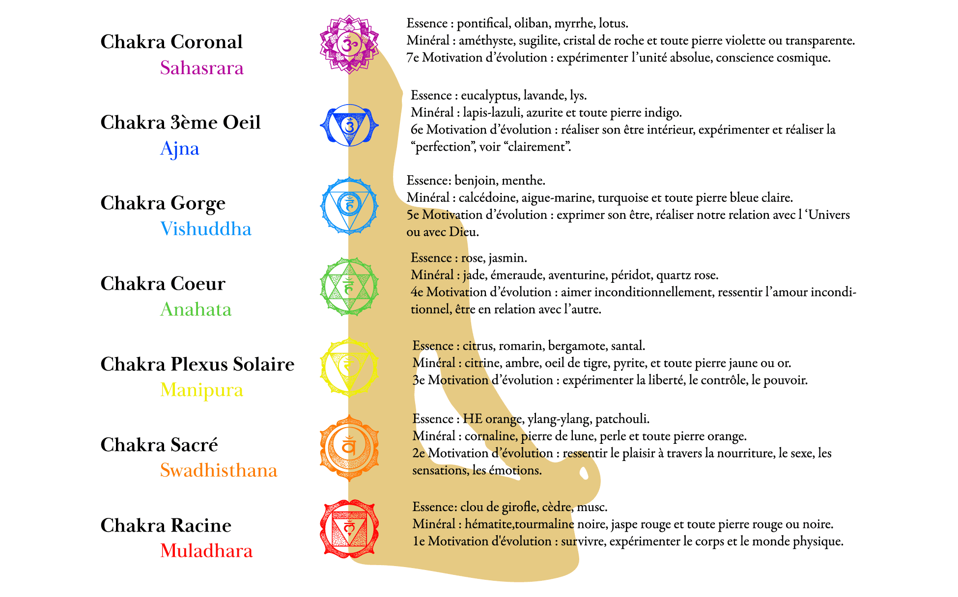 Illustration sur les 7 Chakras